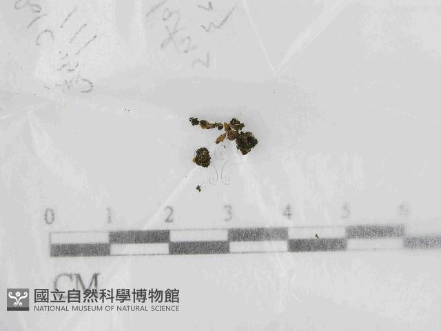 登錄號:F0021447藏品圖，第1張