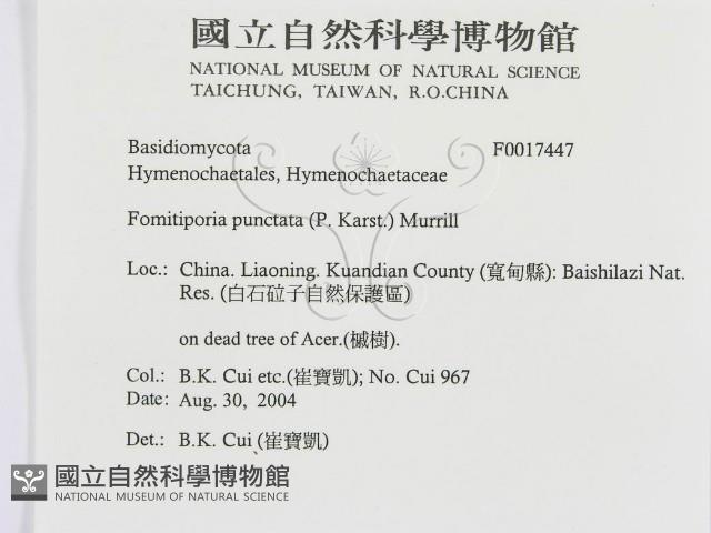 登錄號:F0017447藏品圖，第3張