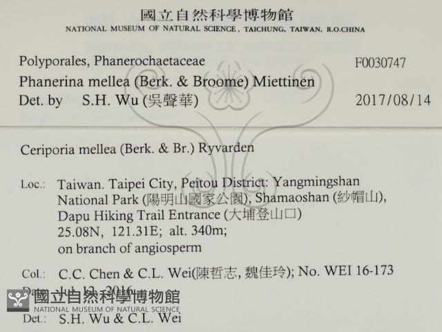 登錄號:F0030747藏品圖，第3張