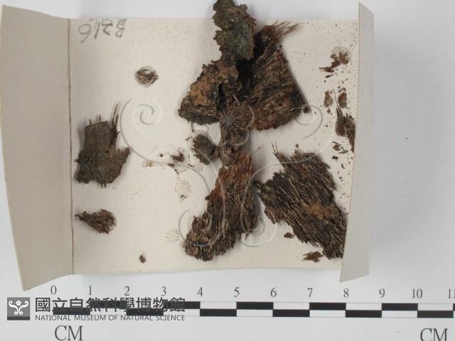 登錄號:F0018547藏品圖，第1張