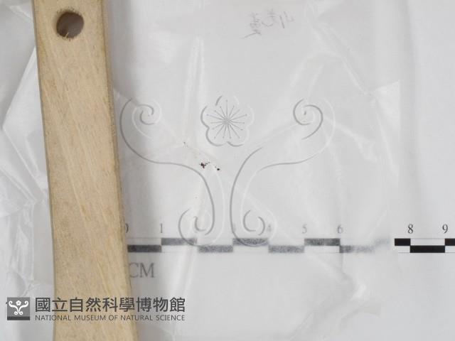 登錄號:F0022547藏品圖，第1張