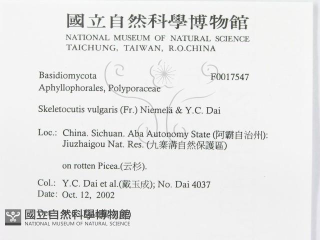 登錄號:F0017547藏品圖，第3張