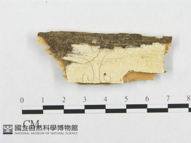 登錄號:F0008147藏品圖，第1張