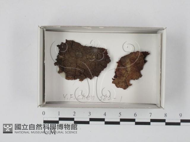 登錄號:F0018147藏品圖，第1張