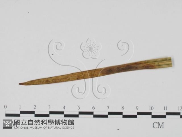 登錄號:F0010147藏品圖，第1張