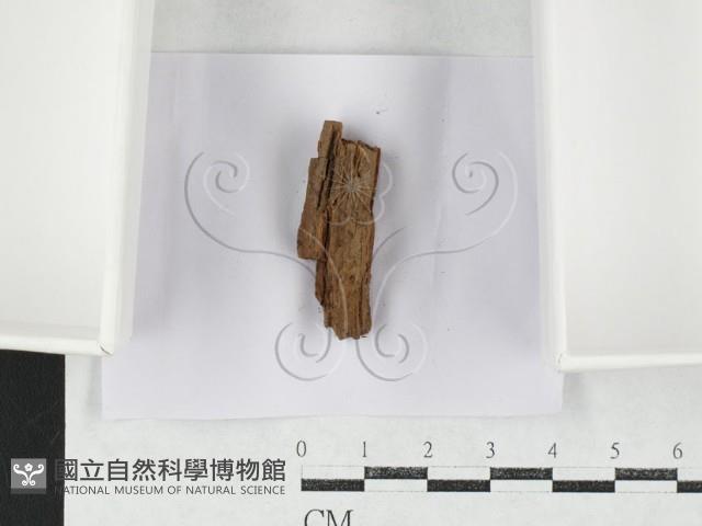 登錄號:F0027147藏品圖，第1張