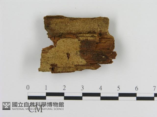 登錄號:F0017147藏品圖，第1張