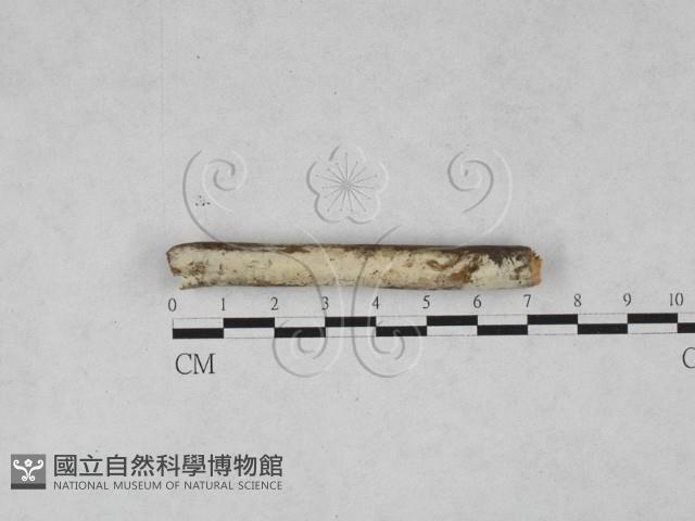 登錄號:F0028047藏品圖，第1張