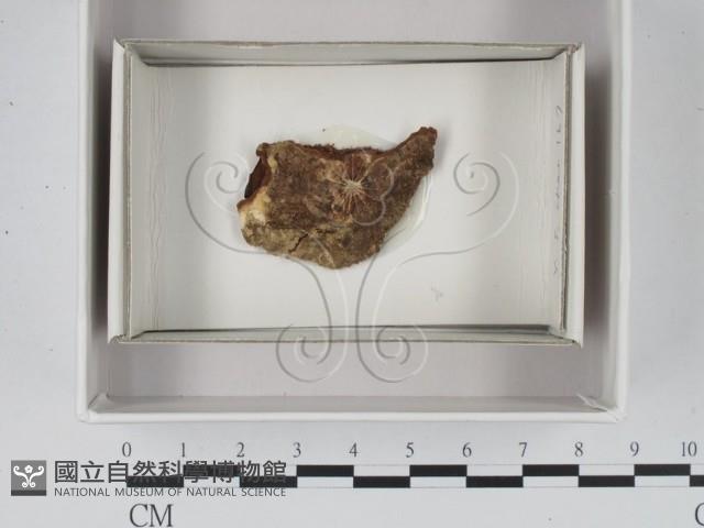 登錄號:F0018047藏品圖，第1張