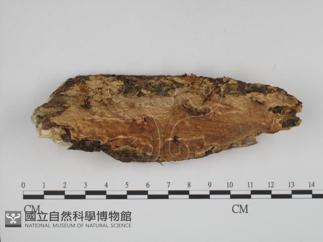 登錄號:F0001047藏品圖，第1張