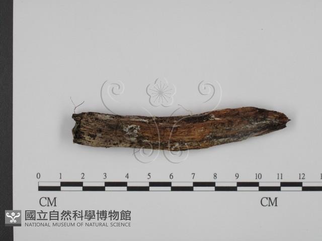 館號:F0014047藏品圖，第1張