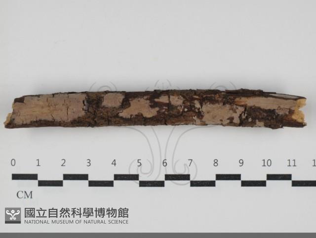 登錄號:F0034047藏品圖，第1張