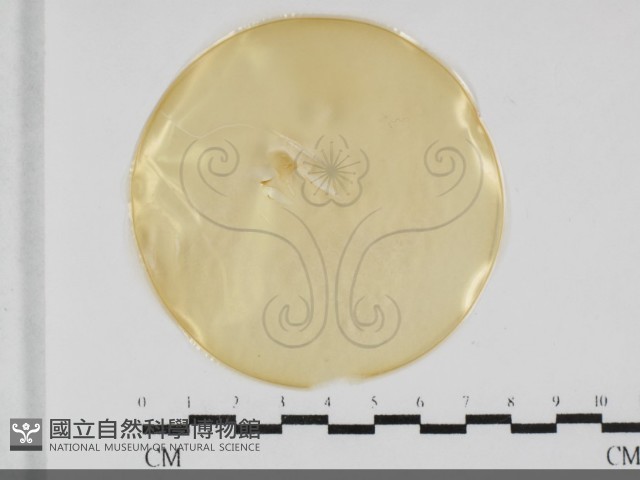 登錄號:F0032047藏品圖，第1張