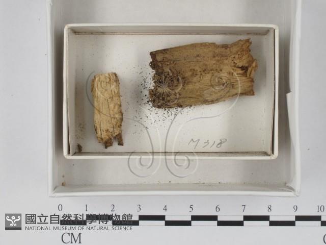 登錄號:F0018347藏品圖，第1張
