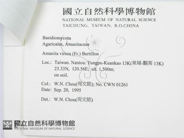 登錄號:F0004347藏品圖，第3張