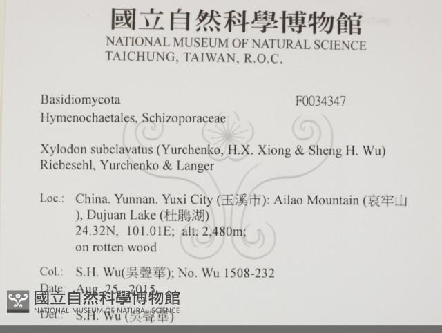 登錄號:F0034347藏品圖，第1張