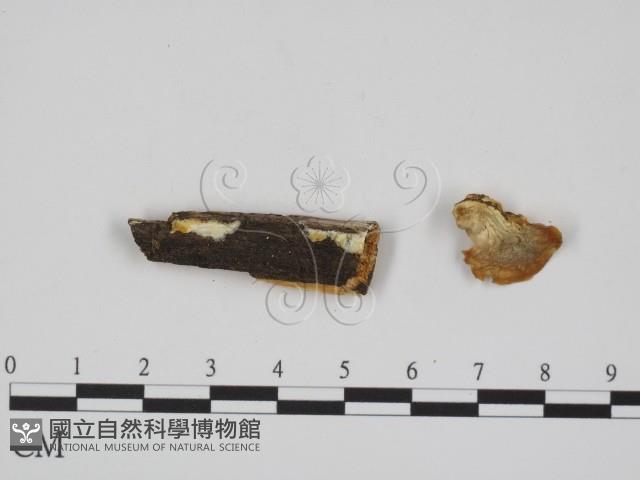 登錄號:F0007347藏品圖，第1張