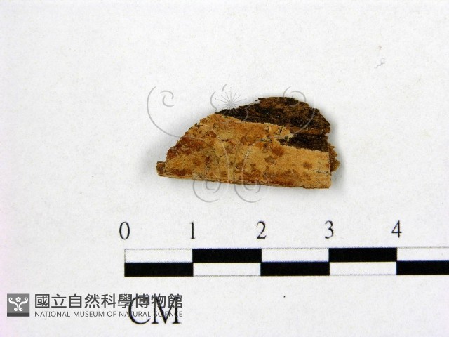 登錄號:F0015347藏品圖，第1張