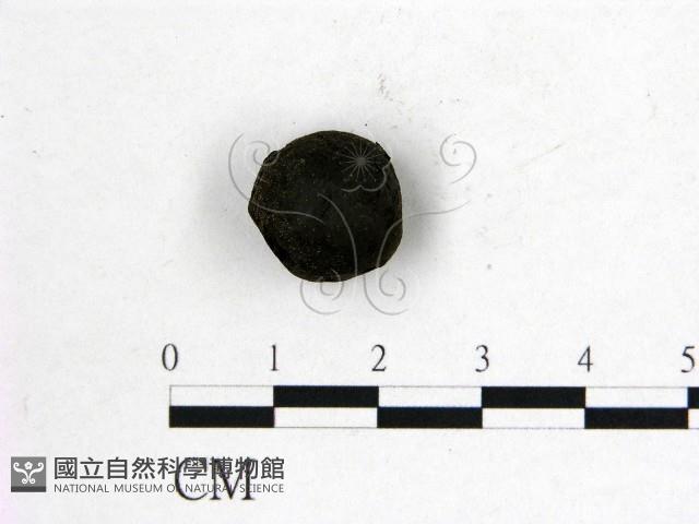 登錄號:F0020237藏品圖，第1張
