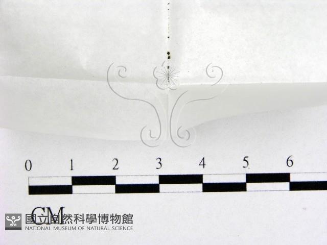 登錄號:F0000237藏品圖，第1張