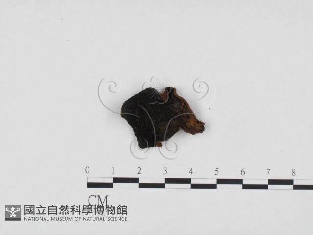 登錄號:F0024237藏品圖，第1張