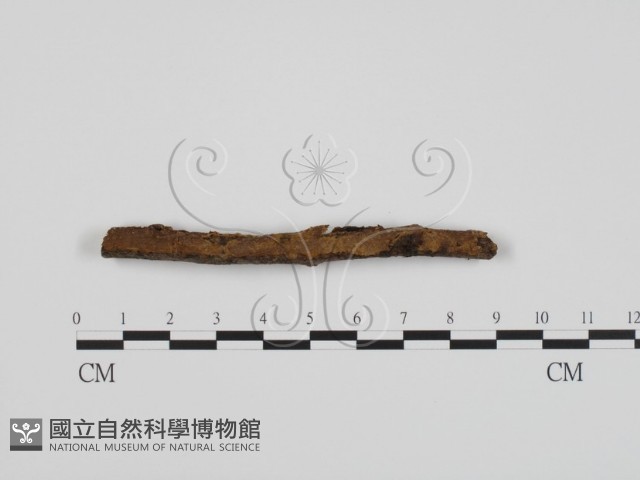 登錄號:F0022237藏品圖，第1張