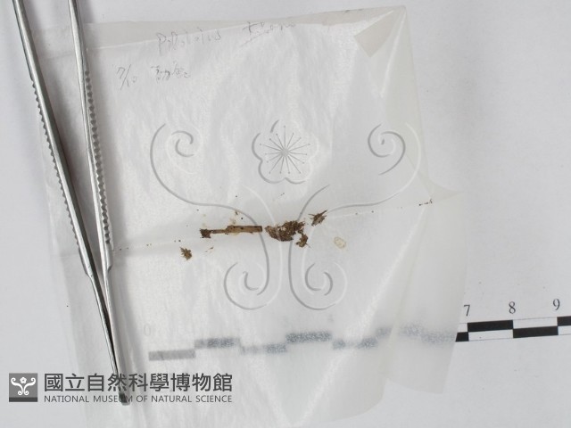 登錄號:F0002237藏品圖，第1張