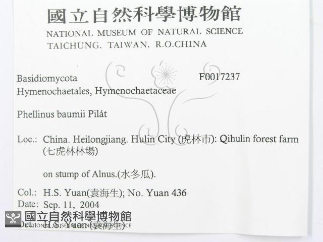 登錄號:F0017237藏品圖，第3張