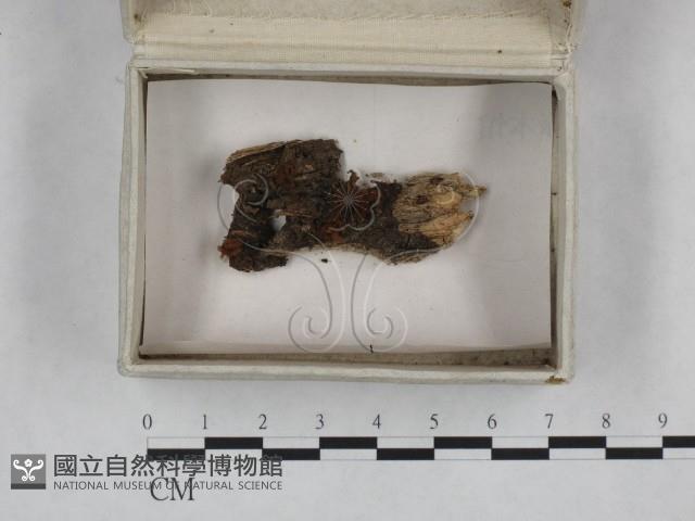 登錄號:F0023237藏品圖，第1張