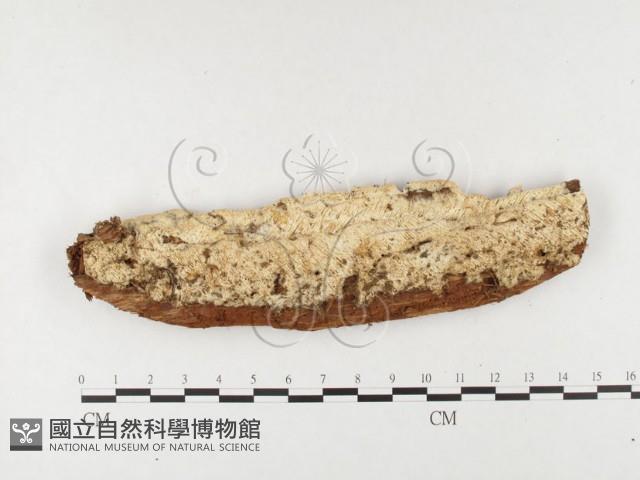 登錄號:F0026837藏品圖，第1張