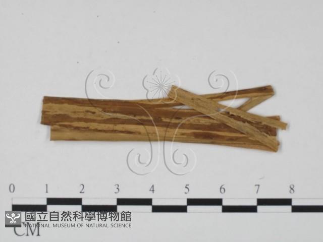 登錄號:F0011837藏品圖，第1張