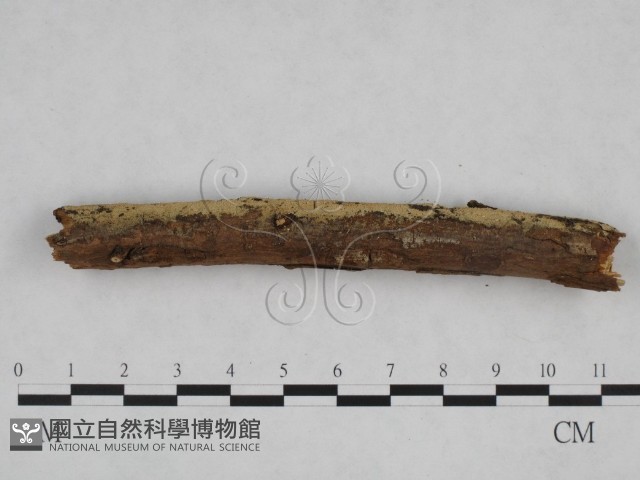 登錄號:F0024837藏品圖，第1張