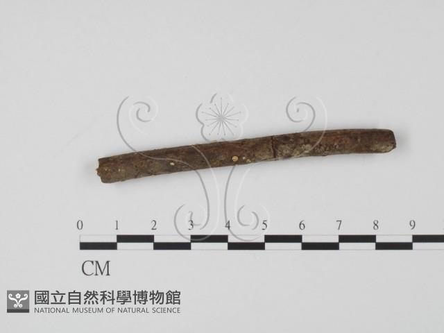 登錄號:F0009837藏品圖，第1張