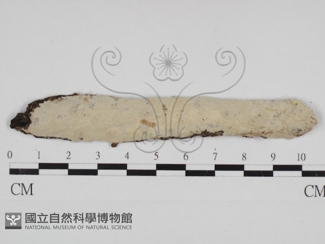 登錄號:F0030937藏品圖，第1張
