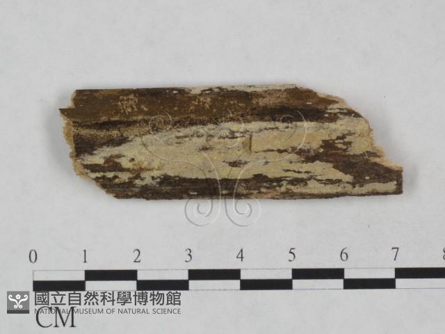 登錄號:F0024937藏品圖，第1張