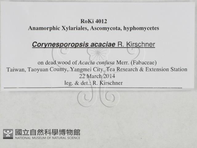 登錄號:F0027937藏品圖，第3張