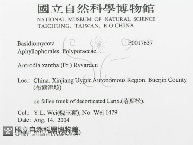 登錄號:F0017637藏品圖，第3張