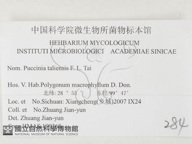 登錄號:F0026437藏品圖，第3張