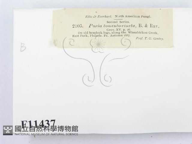 登錄號:F0011437藏品圖，第3張