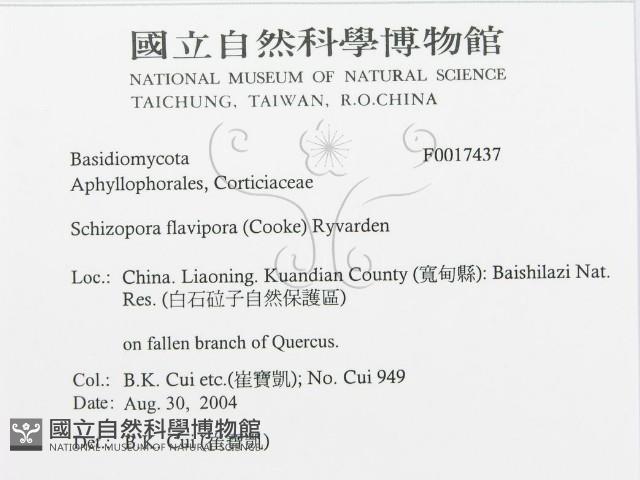 登錄號:F0017437藏品圖，第3張