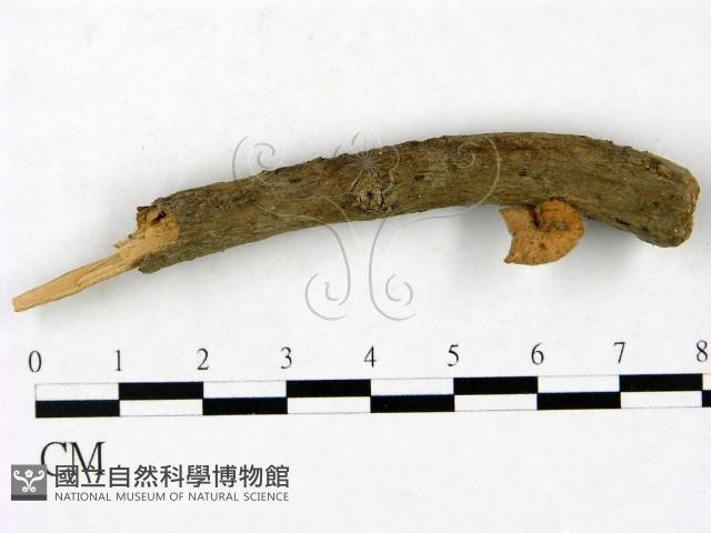 登錄號:F0023437藏品圖，第1張