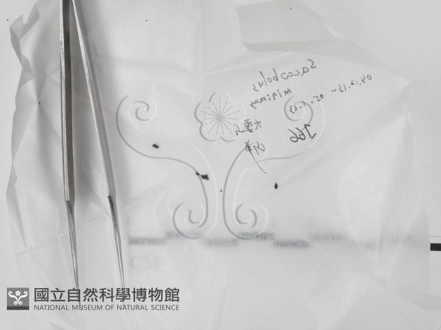 登錄號:F0017737藏品圖，第1張