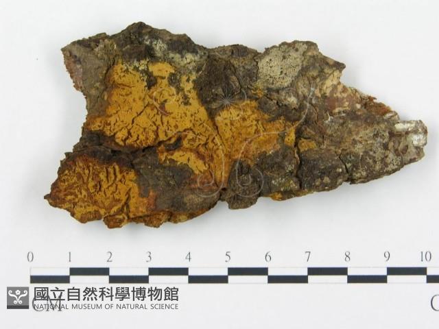 登錄號:F0014137藏品圖，第1張