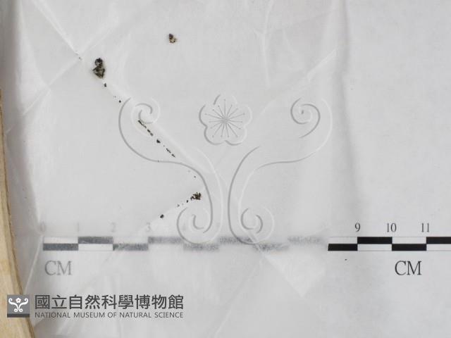 登錄號:F0024037藏品圖，第1張