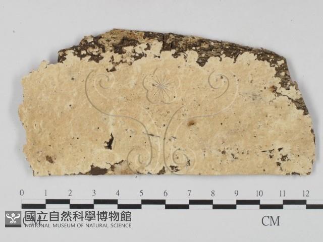 登錄號:F0022337藏品圖，第1張