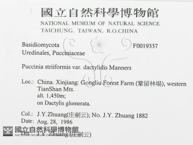 登錄號:F0019337藏品圖，第3張