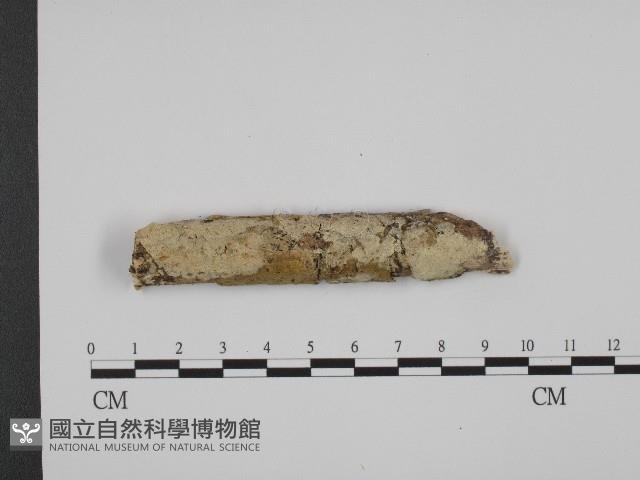 館號:F0004277藏品圖，第1張