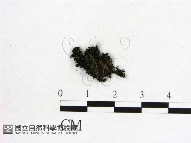 登錄號:F0012877藏品圖，第1張