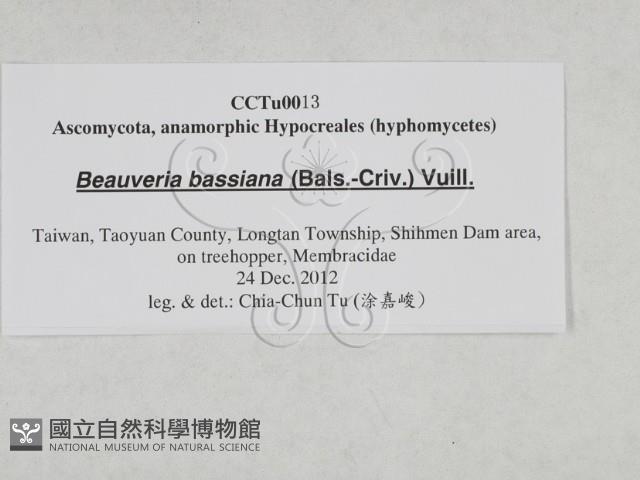 登錄號:F0027877藏品圖，第3張