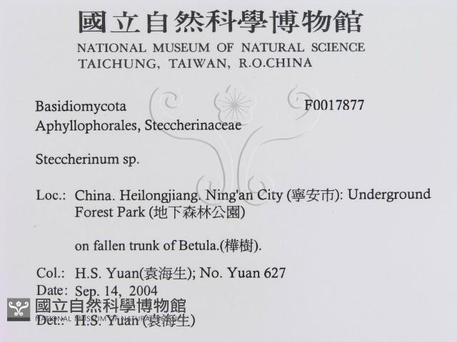 登錄號:F0017877藏品圖，第3張